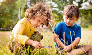 Безопасность в лесу: правила поведения для детей в картинках