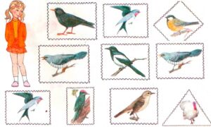 Конспект занятия по развитию речи в старшей группе на тему «Перелетные птицы»