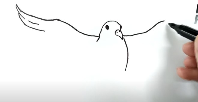 Рисунок Голубь мира 6