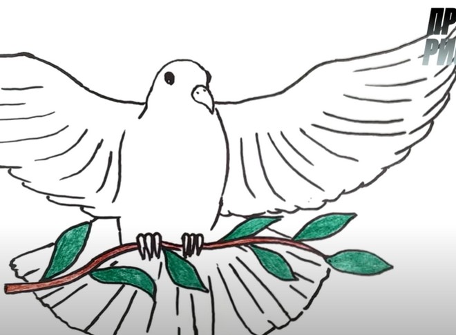 Рисунок Голубь мира 12