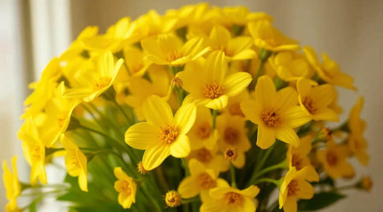 К чему снится букет жёлтых цветов — полное толкование сна