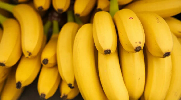 К чему женщине снятся жёлтые бананы: толкование сна по популярным сонникам К чему женщине снятся жёлтые бананы: толкование сна по популярным сонникам